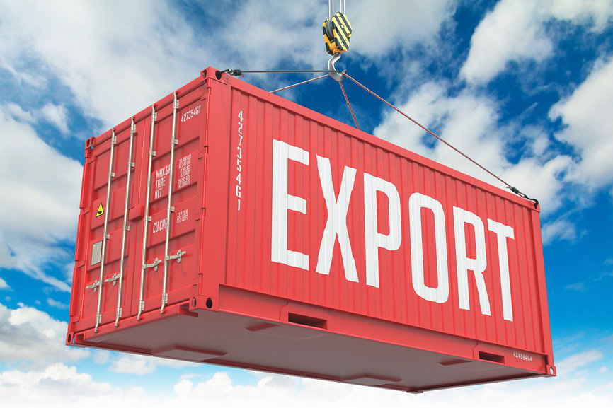 Экспортная декларация грузов - формы и виды, особенности и правила заполнения декларации